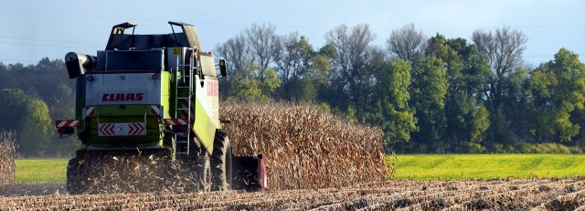 harvest-g2c4420ca3_1920.jpg